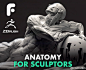 ZBrush人体结构解剖模型雕刻教程 – Fundamental Anatomy for Sculptors|百度网盘|影视动画论坛 - http://www.cgdream.com.cn