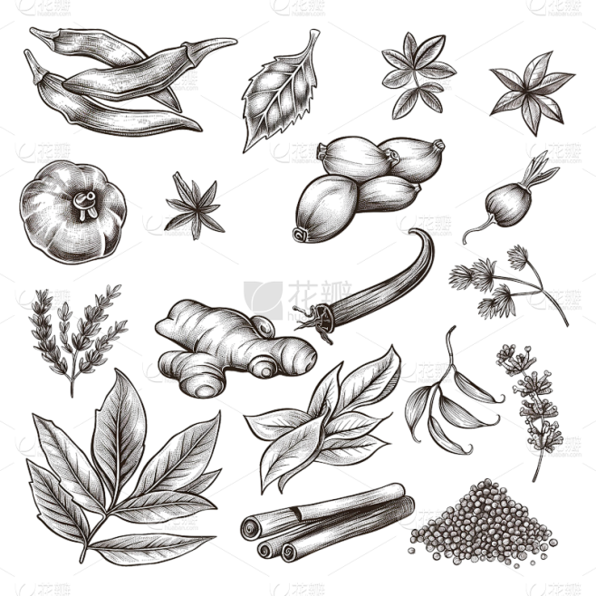 常规系列插画香料组合通用元素素材