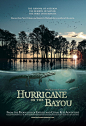 海湾的飓风 Hurricane on the Bayou 正式海报