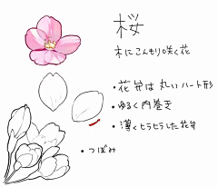 七狮Sama采集到H 环境