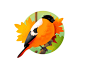 Red songbird bullfinch