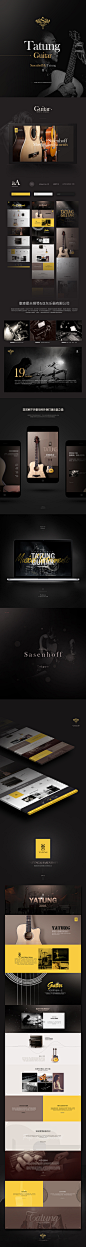 Sasenhoff钢琴&Tatung亚东乐器有限公司项目汇总，详情页/首页/专题页/吉他乐器类