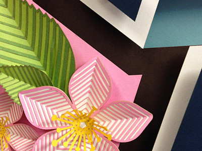 Paper State Flower: ...