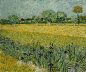 1218px-Vincent_van_Gogh_-_Veld_met_bloemen_bij_Arles_-_Google_Art_Project.jpg (1218×1024)