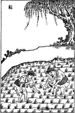 十一aphro采集到手绘黑白类