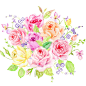 P14水彩手绘玫瑰花 唯美小清新png免扣设计素材高请植物花草图案-淘宝网