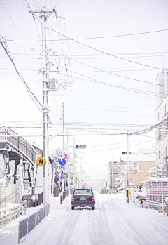 住鱼店的猫采集到场景