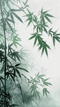 清幽雅致 竹子壁纸
