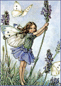 Cicely Mary Barker (107)