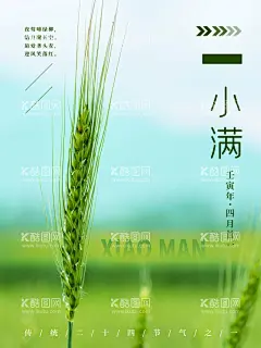 小满  - 源文件下载【酷图网】小满微信海报,金属麦子,小满喝茶,地产小满,麦子,地产小满节气,小满地产海报,小满单图,小满朋友圈,小满广告,小满宣传,小满节气海报,夏至,初夏,小满海报,夏至转发图,传统节气,小满节日,24节气,小满微信,小满推广,地产节气单图,设计,广告设计,小满微信稿,小满地产,微信小满