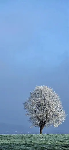 (99+ 封私信 / 92 条消息) 有哪些好看的全面屏手机壁纸? - 知乎 : 手机是升降摄像头的