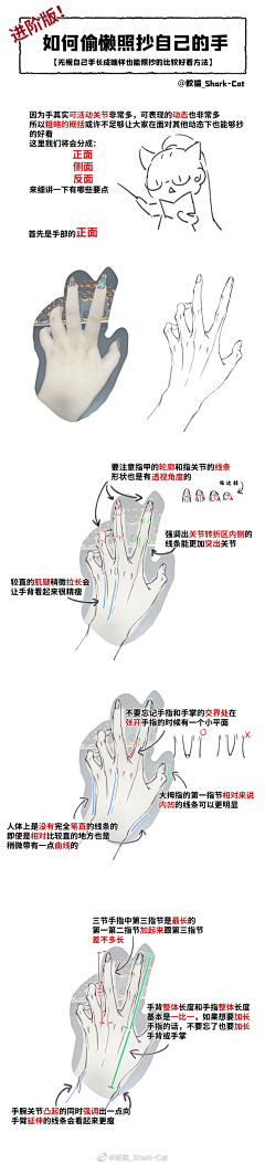 小狐狸爱吃糖采集到教程