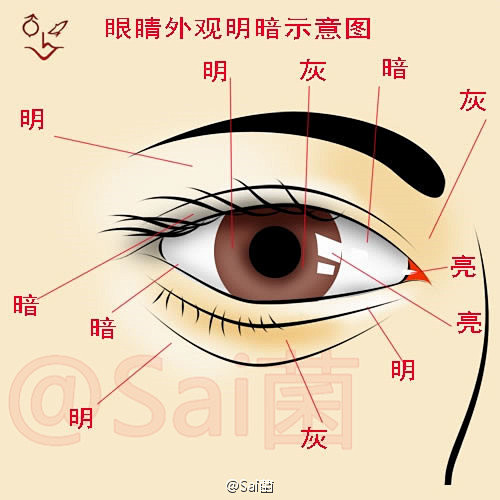 #绘画学习#  给大家分享一组人物面部五...