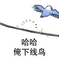 【表情包】发点色禽图片（70张）