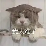 肖战哥哥的兔牙