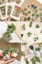 (541) Pinterest
