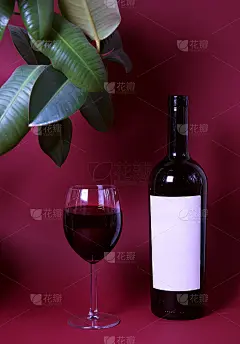 一杯红酒，以勃艮第(Burgundy)为背景，配上一种奇异的植物。绿色的叶子给红酒增添了一种特别的魅
