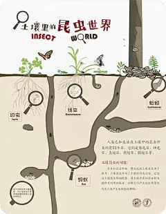 南京朴厚主营业务科普宣教