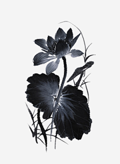 秋琳采集到中国画