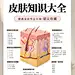 皮肤管理培训｜美容师必学皮肤基础知识