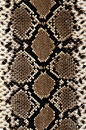 0db44f84ec082bb61755f0b5a05a89fd.jpg (528×800)