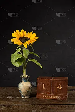 情人节快乐的古董木制万年历2月14日在黑色的背景和向日葵在小大理石花瓶