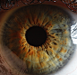 sheerio-stormer777:眼睛--瞳孔


Extreme close-ups of human eyes by Suren Manvelyan

WOAH

Fascinating 