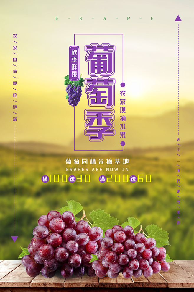 葡萄宣传海报展板设计