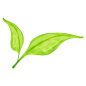 绿色叶子PNG图标