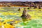 Colourful volcano Dallol in Danakil dessert, Ethiopia