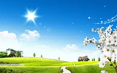 阳光灿烂的夏天桌面壁纸1