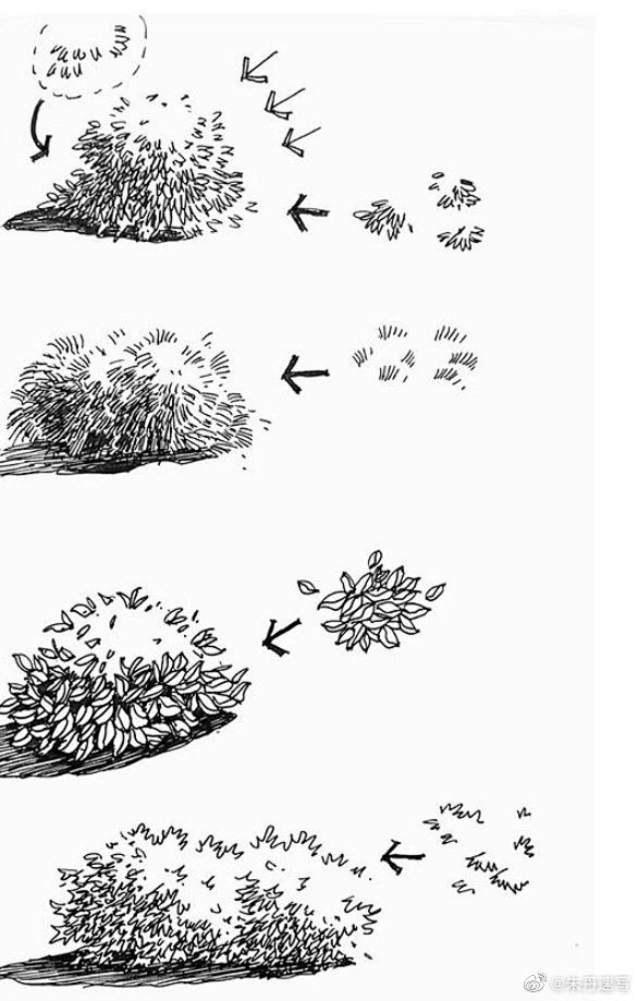 景观手绘中植物的画法分析 ❤️ 从体积入...