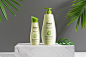 Fresh Shampoo :   Creative Agency: Bratus  Creative Director: Jimmi Tuan  Illustration: TonBui  Graphic Designer: Trang Pham  Account Manager: Hien Nguyen  ...