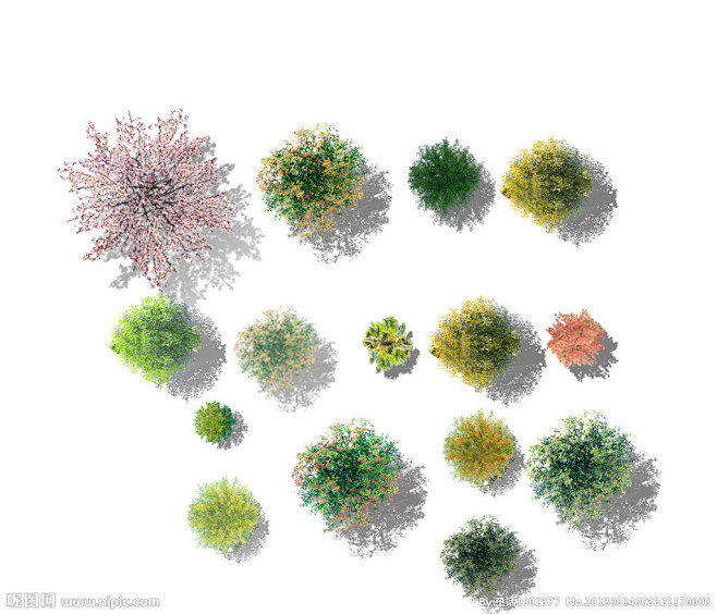 平面树 素材源文件_植被