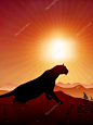 Lion on Sunset Background Original Vector Illustration Animals on Sunset Ideal for Wildlife Nature Concepts