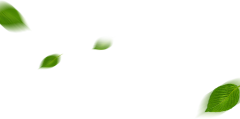 岛阿采集到PNG ☀ 飘散素材 绿叶 花瓣 碎片
