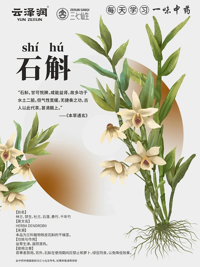 每天学习一味中药｜石斛