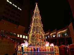华丽闪亮的圣诞树壁纸 Christmas night Christmas Trees壁纸 闪烁美丽的圣诞树夜景壁纸壁纸 闪烁美丽的圣诞树夜景壁纸图片 闪烁美丽的圣诞树夜景壁纸素材 节日壁纸 节日图库 节日图片素材桌面壁纸