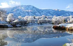 大桥自然风光电脑桌面壁纸