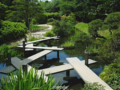 Ginkgo-biloba采集到Landscape-公园