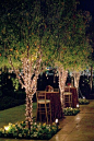 backyard party with lit trees