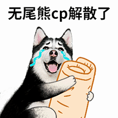 微信拍一拍热点情人节单身狗表情包