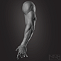 Anatomy - HUMAN ARM, , Souradipnath - CGSociety