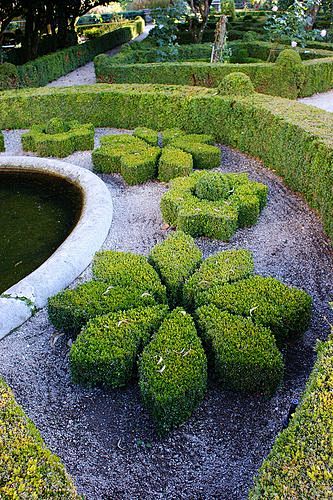 Boxwood topiary: 