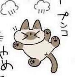 【图片】暹罗猫小豆泥表情包【动漫表情包吧】_百度贴吧