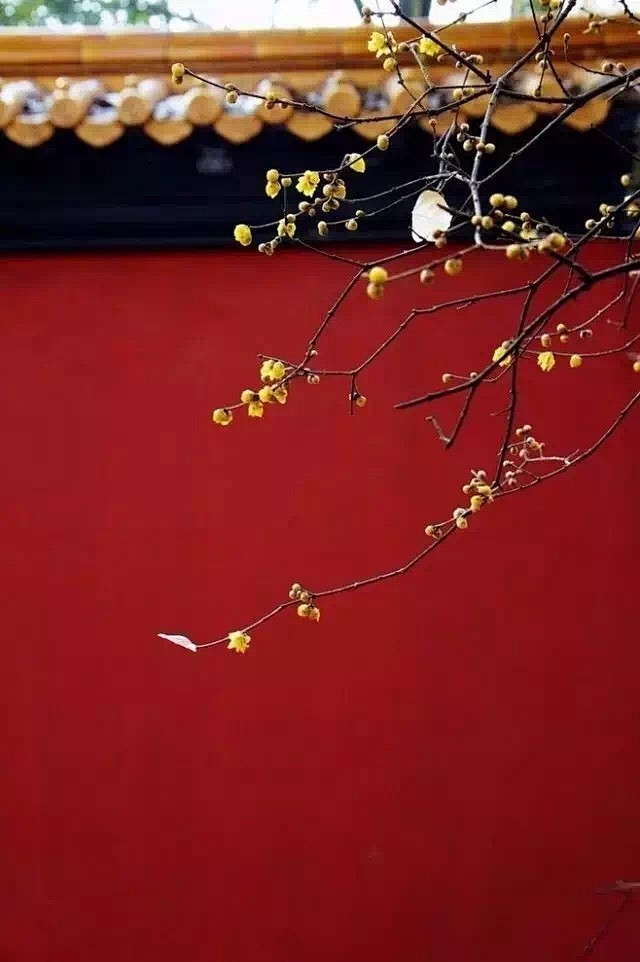 愁绕东风 思君飘何方
忆当年 君谱凤求凰...