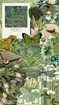 #green #greenaesthetic #frog #flower #nature