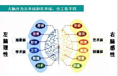 Y梨采集到其他