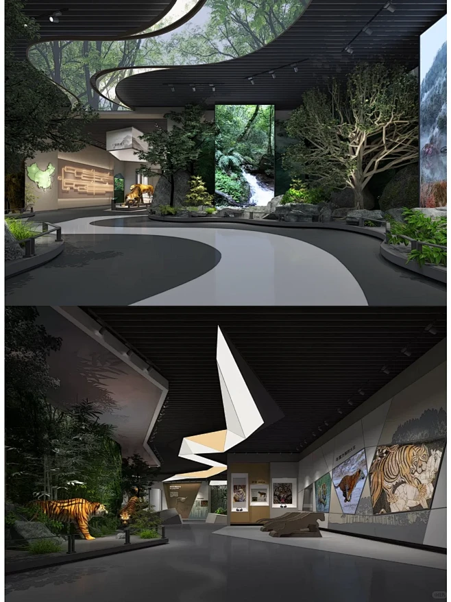 展厅设计|项目分享 梅花山自然教育馆