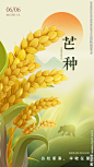 芒种节气